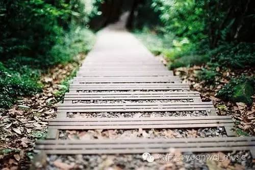 蓦然回首,晨露霜晚 蓦然回首,晨露霜晚