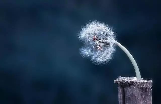 微信公众号三方平台开发之component_access_token篇